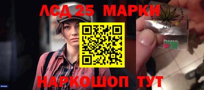 прущие грибы Будённовск