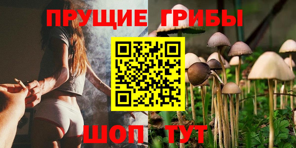 Галлюциногенные грибы Psilocybine cubensis Североуральск