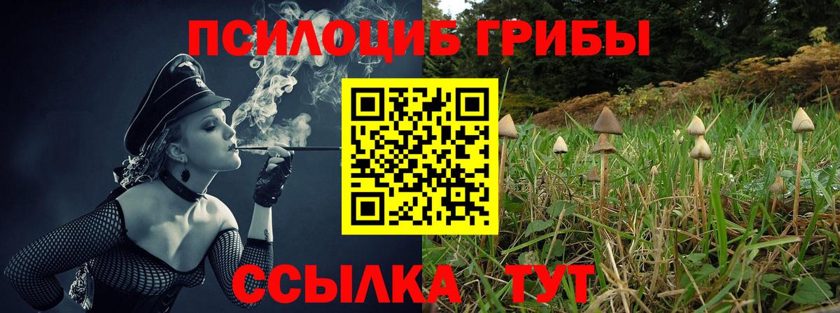 Псилоцибиновые грибы ЛСД  Псилоцибиновые грибы Psilocybine cubensis  Североуральск  Вход с VPN 